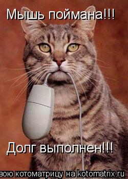 Мышь поймана!!! Долг выполнен!!!... Котоматрица: Мышь поймана!!! Долг выполнен!!!