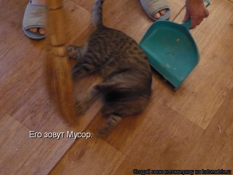 Его зовут Мусор.... Котоматрица: Его зовут Мусор.