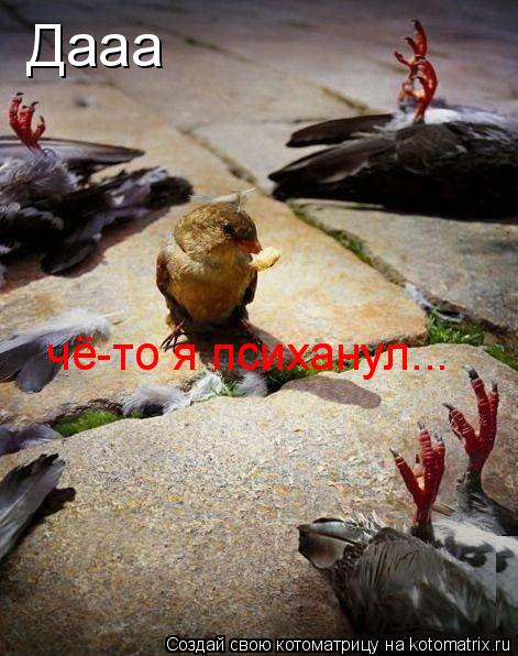 Дааа чё-то я психанул...... Котоматрица: Дааа чё-то я психанул...