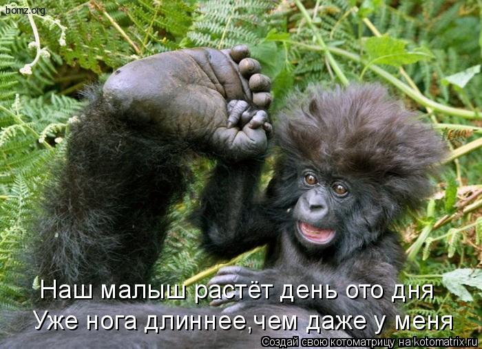 Наш малыш растёт день ото дня Уже нога длиннее,чем даже у меня... Котоматрица: Наш малыш растёт день ото дня Уже нога длиннее,чем даже у меня