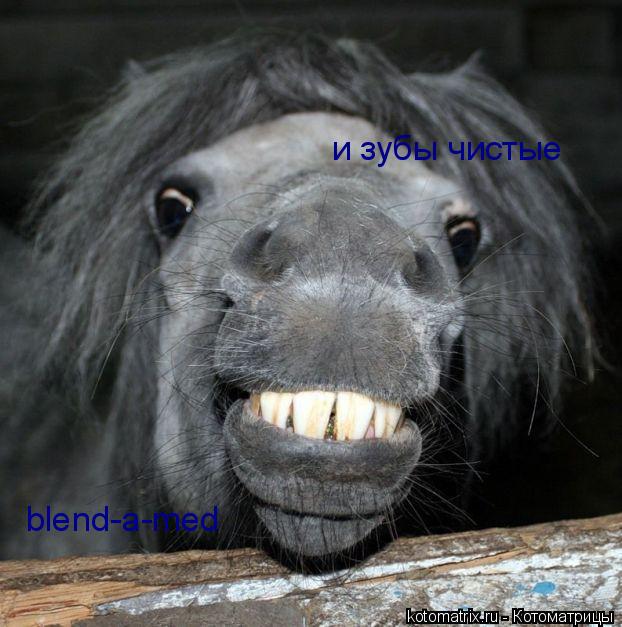 blend-a-med и зубы чистые... Котоматрица: blend-a-med и зубы чистые