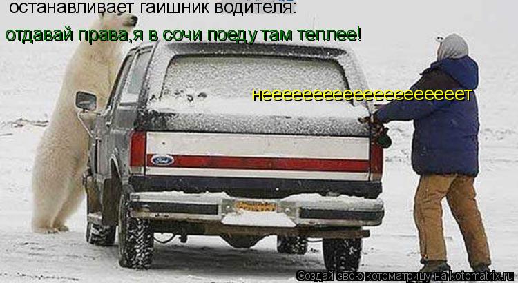 останавливает гаишник водителя: отдавай права,я в сочи поеду там теплее! неееееееееееееееееееет... Котоматрица: останавливает гаишник водителя: отдавай права,я в сочи поеду там теплее! неееееееееееееееееееет