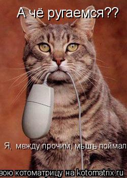 А чё ругаемся?? Я, между прочим, мышь поймал...... Котоматрица: А чё ругаемся?? Я, между прочим, мышь поймал...
