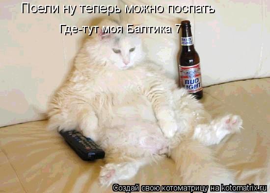 Поели ну теперь можно поспать Где-тут моя Балтика 7... Котоматрица: Поели ну теперь можно поспать Где-тут моя Балтика 7