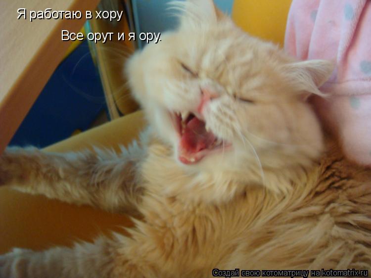 Я работаю в хору Все орут и я ору.... Котоматрица: Я работаю в хору Все орут и я ору.