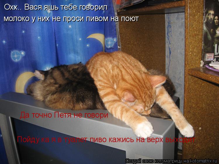 Охх.. Вася яшь тебе говорил молоко у них не проси пивом на поют Да точно Петя не говори Пойду ка я ... Котоматрица: Охх.. Вася яшь тебе говорил молоко у них не проси пивом на поют Да точно Петя не говори Пойду ка я в туалет пиво кажись на верх выходит