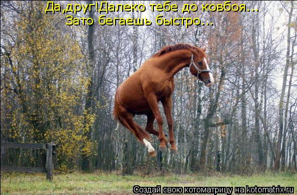 Да,друг!Далеко тебе до ковбоя... Зато бегаешь быстро...... Котоматрица: Да,друг!Далеко тебе до ковбоя... Зато бегаешь быстро...