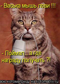 - Васька мышь лови !!! - Поймал , а где награду получать ?!... Котоматрица: - Васька мышь лови !!! - Поймал , а где награду получать ?!