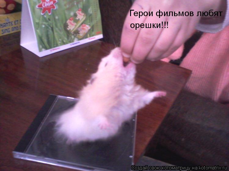 Герои фильмов любят орешки!!!... Котоматрица: Герои фильмов любят орешки!!!
