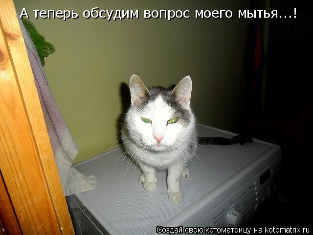 А теперь обсудим вопрос моего мытья...!... Котоматрица: А теперь обсудим вопрос моего мытья...!