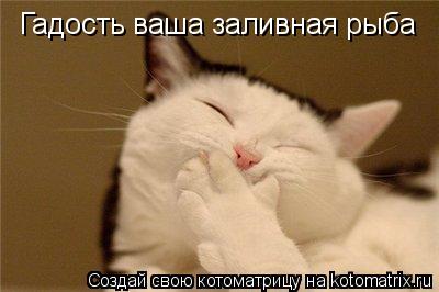 Гадость ваша заливная рыба... Котоматрица: Гадость ваша заливная рыба