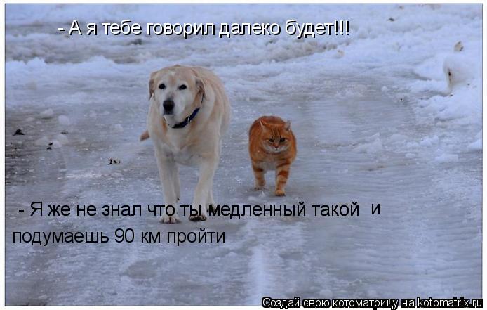 - А я тебе говорил далеко будет!!! - Я же не знал что ты медленный такой подумаешь 90 км пройти - Я... Котоматрица: - А я тебе говорил далеко будет!!! - Я же не знал что ты медленный такой подумаешь 90 км пройти - Я же не знал что ты медленный такой и