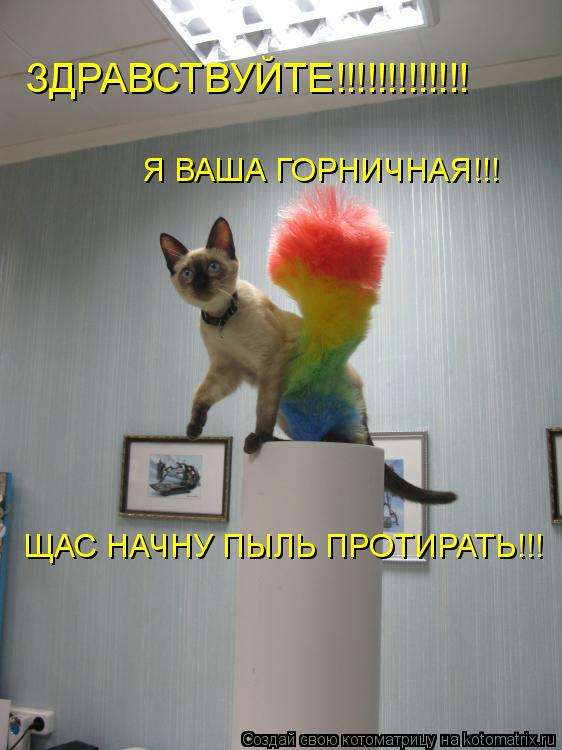 ЗДРАВСТВУЙТЕ!!!!!!!!!!!!! Я ВАША ГОРНИЧНАЯ!!! ЩАС НАЧНУ ПЫЛЬ ПРОТИРАТЬ!!!... Котоматрица: ЗДРАВСТВУЙТЕ!!!!!!!!!!!!! Я ВАША ГОРНИЧНАЯ!!! ЩАС НАЧНУ ПЫЛЬ ПРОТИРАТЬ!!!