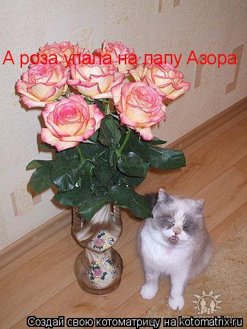 А роза упала на лапу Азора... Котоматрица: А роза упала на лапу Азора
