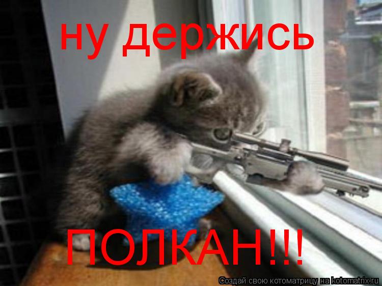 ну держись ПОЛКАН!!!... Котоматрица: ну держись ПОЛКАН!!!