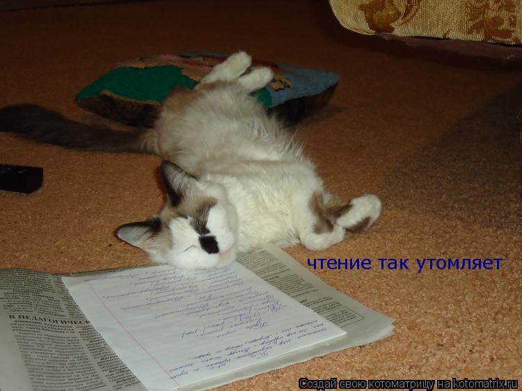 чтение так утомляет... Котоматрица: чтение так утомляет