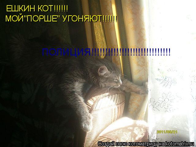 ЕШКИН КОТ!!!!!! МОЙ"ПОРШЕ" УГОНЯЮТ!!!!!! ПОЛИЦИЯ!!!!!!!!!!!!!!!!!!!!!!!!!!!!!... Котоматрица: ЕШКИН КОТ!!!!!! МОЙ"ПОРШЕ" УГОНЯЮТ!!!!!! ПОЛИЦИЯ!!!!!!!!!!!!!!!!!!!!!!!!!!!!!