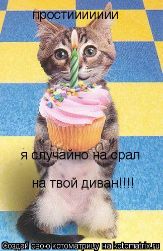 простиииииии я случайно на срал на твой диван!!!!... Котоматрица: простиииииии я случайно на срал на твой диван!!!!