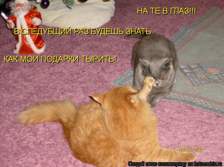 НА ТЕ В ГЛАЗ!!! В СЛЕДУБЩИЙ РАЗ БУДЕШЬ ЗНАТЬ КАК МОИ ПОДАРКИ ТЫРИТЬ!... Котоматрица: НА ТЕ В ГЛАЗ!!! В СЛЕДУБЩИЙ РАЗ БУДЕШЬ ЗНАТЬ КАК МОИ ПОДАРКИ ТЫРИТЬ!