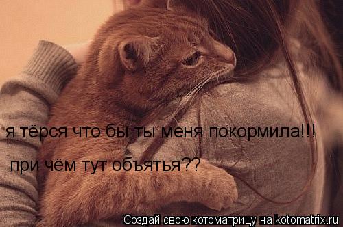 я тёрся что бы ты меня покормила!!! при чём тут объятья??... Котоматрица: я тёрся что бы ты меня покормила!!! при чём тут объятья??