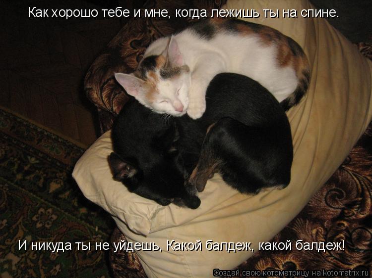 Как хорошо тебе и мне, когда лежишь ты на спине. И никуда ты не уйдешь, Какой балдеж, какой балдеж!... Котоматрица: Как хорошо тебе и мне, когда лежишь ты на спине. И никуда ты не уйдешь, Какой балдеж, какой балдеж!