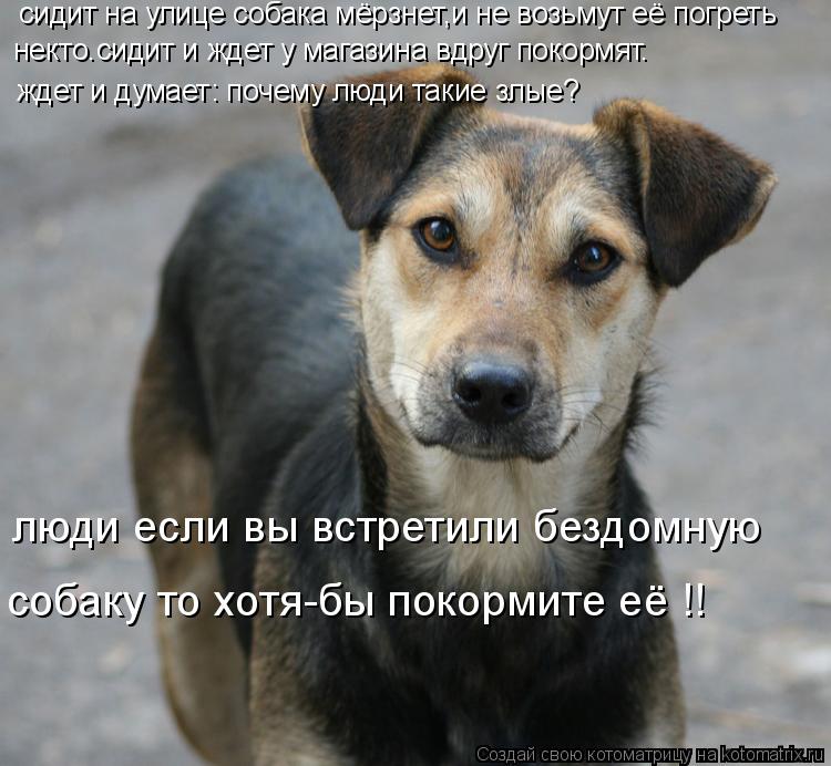 некто.сидит и ждет у магазина вдруг покормят. сидит на улице собака мёрзнет,и не возьмут её погреть ... Котоматрица: некто.сидит и ждет у магазина вдруг покормят. сидит на улице собака мёрзнет,и не возьмут её погреть ждет и думает: почему люди такие злые? лю