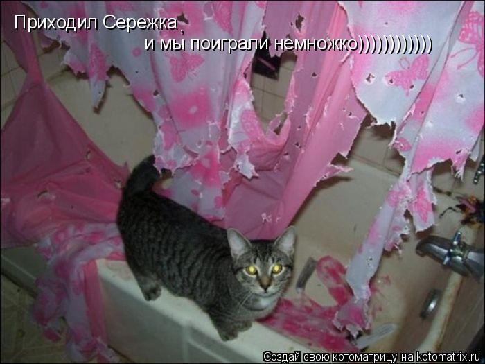 Приходил Сережка , и мы поиграли немножко))))))))))))... Котоматрица: Приходил Сережка , и мы поиграли немножко))))))))))))