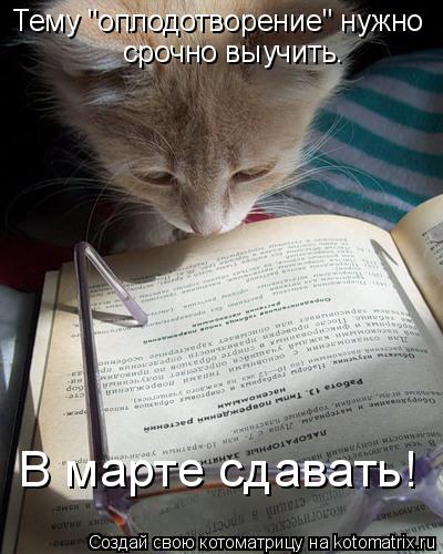 Тему "оплодотворение" нужно срочно выучить. В марте сдавать!... Котоматрица: Тему "оплодотворение" нужно срочно выучить. В марте сдавать!