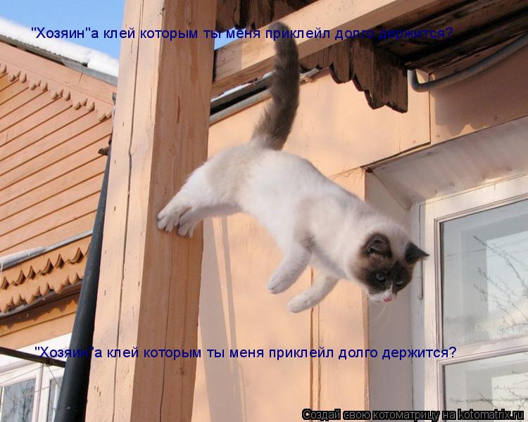 "Хозяин"а клей которым ты меня приклейл долго держится? "Хозяин"а клей которым ты меня приклейл долго... Котоматрица: "Хозяин"а клей которым ты меня приклейл долго держится? "Хозяин"а клей которым ты меня приклейл долго держится?