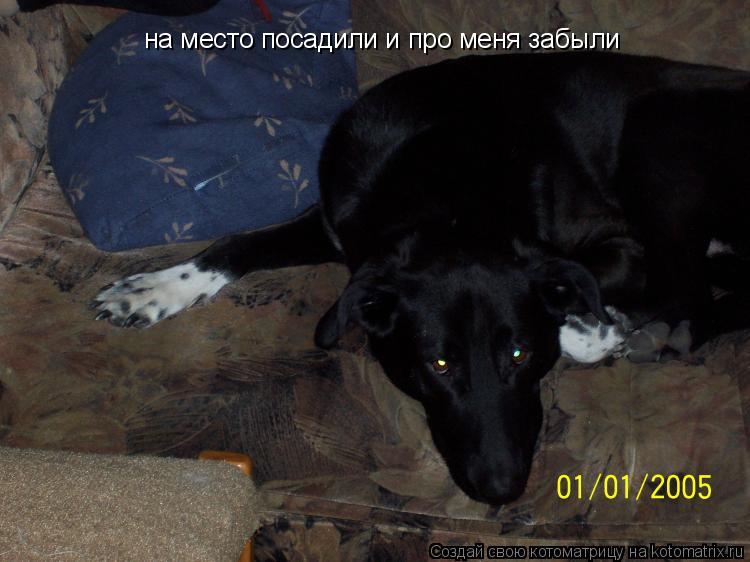 на место посадили и про меня забыли... Котоматрица: на место посадили и про меня забыли
