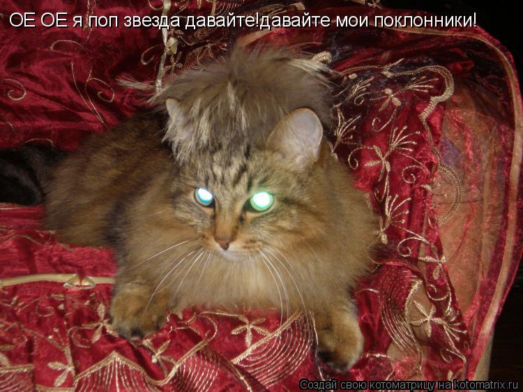 ОЕ ОЕ я поп звезда давайте!давайте мои поклонники!... Котоматрица: ОЕ ОЕ я поп звезда давайте!давайте мои поклонники!