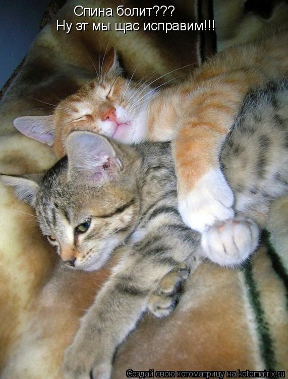 Спина болит??? Ну эт мы щас исправим!!!... Котоматрица: Спина болит??? Ну эт мы щас исправим!!!