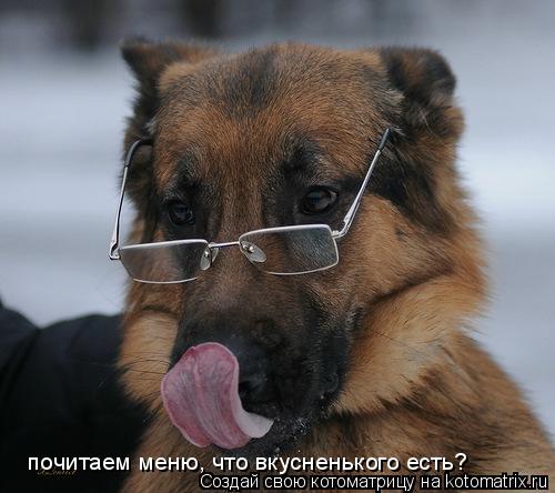 почитаем меню, что вкусненького есть?... Котоматрица: почитаем меню, что вкусненького есть?