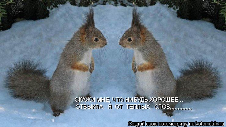 СКАЖИ МНЕ, ЧТО НИБУДЬ ХОРОШЕЕ... ОТВЫКЛА Я ОТ ТЕПЛЫХ СЛОВ,,,,,,,,,,,,,,... Котоматрица: СКАЖИ МНЕ, ЧТО НИБУДЬ ХОРОШЕЕ... ОТВЫКЛА Я ОТ ТЕПЛЫХ СЛОВ,,,,,,,,,,,,,,
