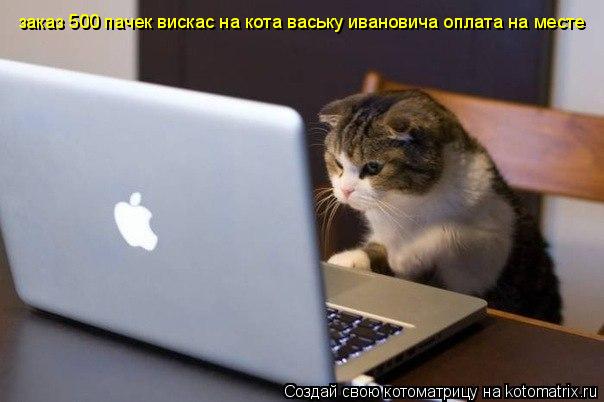 Котоматрица: заказ 500 пачек вискас на кота ваську ивановича оплата на месте