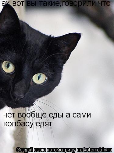 ах вот вы такие,говорили что нет вообще еды а сами колбасу едят... Котоматрица: ах вот вы такие,говорили что нет вообще еды а сами колбасу едят
