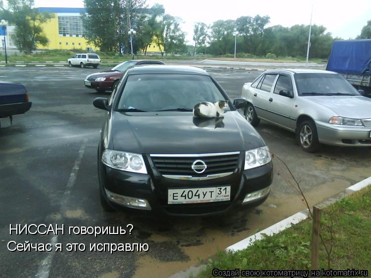 НИССАН говоришь? Сейчас я это исправлю... Котоматрица: НИССАН говоришь? Сейчас я это исправлю