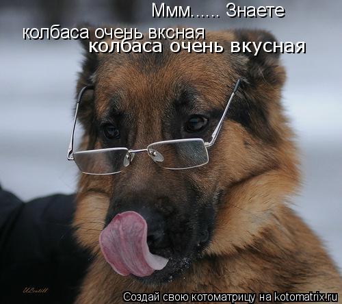 Ммм...... Знаете колбаса очень вксная колбаса очень вкусная колбаса очень вкусная... Котоматрица: Ммм...... Знаете колбаса очень вксная колбаса очень вкусная колбаса очень вкусная
