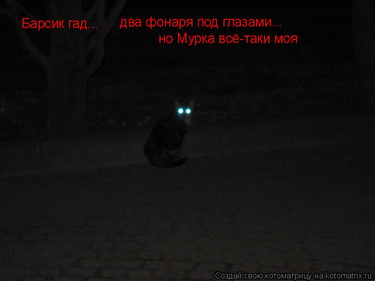 Барсик гад... два фонаря под глазами ... но Мурка всё-таки моя... Котоматрица: Барсик гад... два фонаря под глазами ... но Мурка всё-таки моя