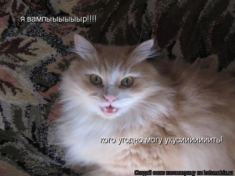 я вампыыыыыыр!!!! кого угодно могу укусииииииить!... Котоматрица: я вампыыыыыыр!!!! кого угодно могу укусииииииить!