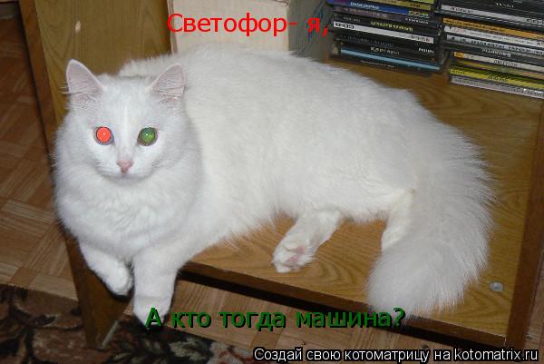 Светофор- я, А кто тогда машина?... Котоматрица: Светофор- я, А кто тогда машина?