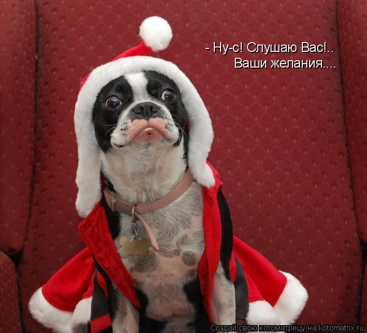 - Ну-с! Слушаю Вас!.. Ваши желания....... Котоматрица: - Ну-с! Слушаю Вас!.. Ваши желания....