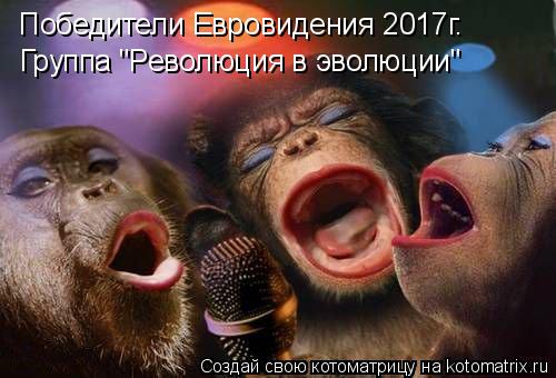 Победители Евровидения 2017г. Группа "Революция в эволюции"... Котоматрица: Победители Евровидения 2017г. Группа "Революция в эволюции"