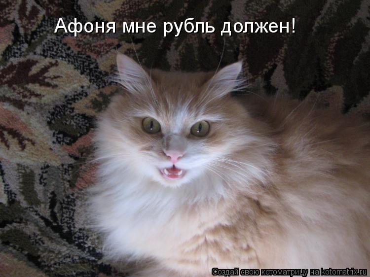 Афоня мне рубль должен!... Котоматрица: Афоня мне рубль должен!