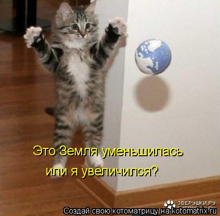Это Земля уменьшилась или я увеличился?... Котоматрица: Это Земля уменьшилась или я увеличился?