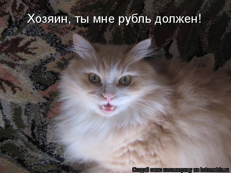 Хозяин, ты мне рубль должен!... Котоматрица: Хозяин, ты мне рубль должен!