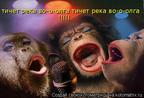 тичет река во-о-олга тичет река во-о-олга !!!!!... Котоматрица: тичет река во-о-олга тичет река во-о-олга !!!!!