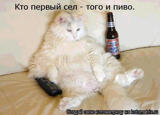 Кто первый сел - того и пиво.... Котоматрица: Кто первый сел - того и пиво.