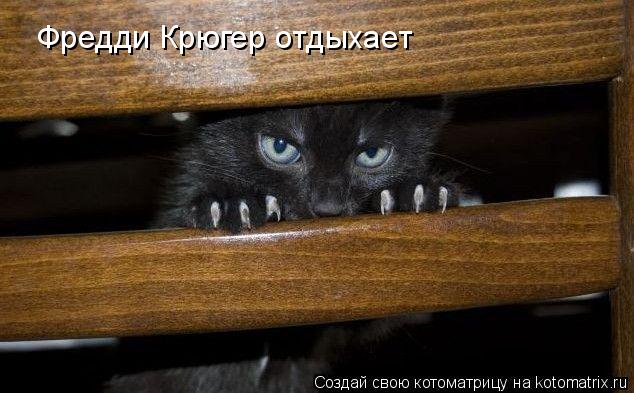 Фредди Крюгер отдыхает... Котоматрица: Фредди Крюгер отдыхает