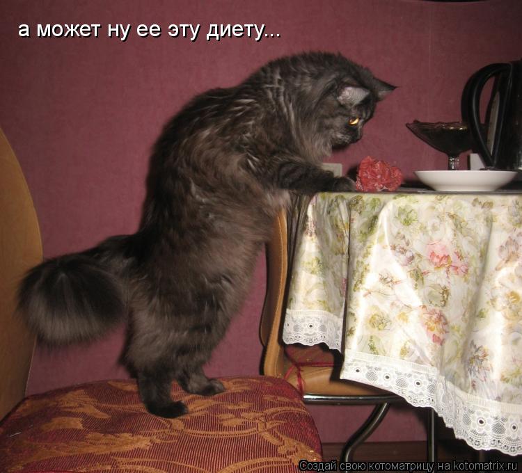 а может ну ее эту диету...... Котоматрица: а может ну ее эту диету...